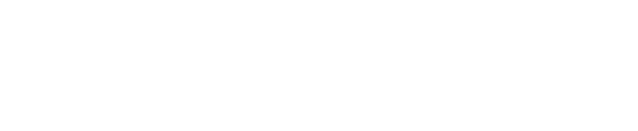 Shopify plus logo